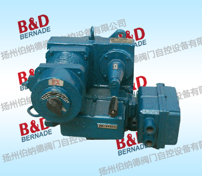 DKJ-BDElectronic explosion-proof electric actuators